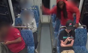 Ukrainian model fatally stabbed on US light rail