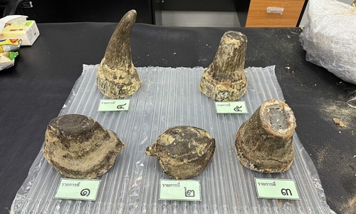 Thai authorities arrest Vietnamese man for alleged rhino horn smuggling