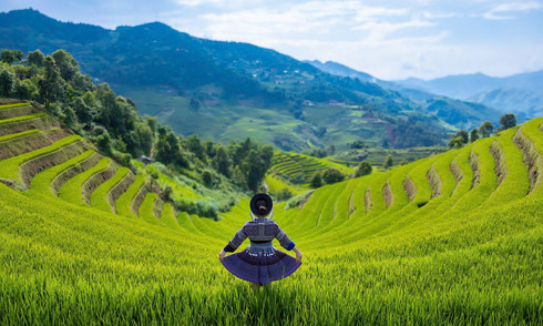 Early glimpses of Mu Cang Chai's ripening rice terraces