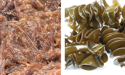 Health benefits of fucoidan from brown seaweed