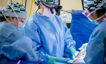 US approves large-scale human trials of pig kidney transplants