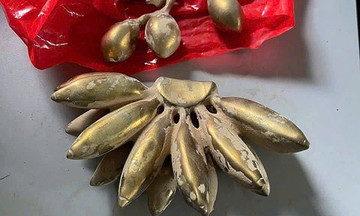 Fake gold banana bunch scam leads to arrest