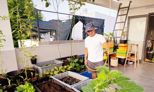 IT engineer creates rooftop garden for his children