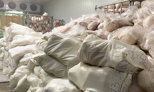 Owner fined for storing over 100 tons of spoiled pork