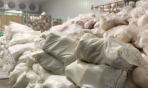 Owner fined for storing over 100 tons of spoiled pork