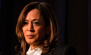 Harris: Biden's 2024 re-election bid was 'reckless'