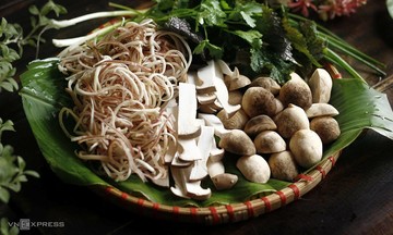 8 reasons to eat mushrooms regularly