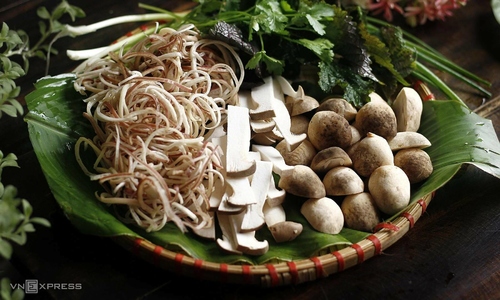 8 reasons to eat mushrooms regularly