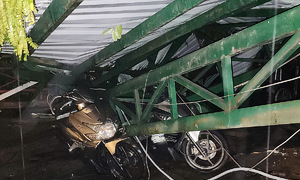 Trees topple, crushing structures and blocking roads in Ho Chi Minh City