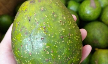 6 fruits to avoid if you have kidney disease