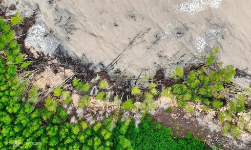 Coastal erosion threatens Vietnam's southernmost province