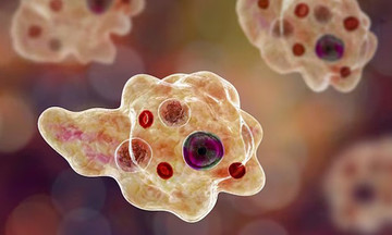 Brain-eating amoeba outbreak claims five lives in Kerala, India