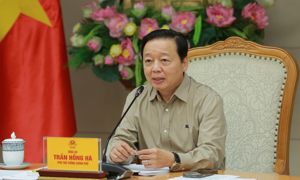 Deputy prime minister calls for economic measures to manage environmentally non-compliant vehicles
