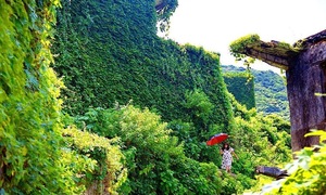 The Chinese village swallowed by nature