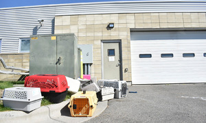 FBI drug incineration sends 14 to hospital
