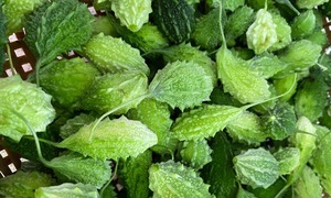 6 foods that boost male sexual health