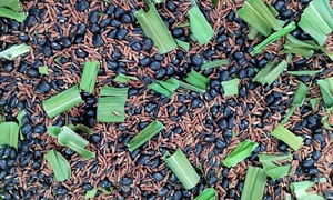 6 black foods for healthy hair