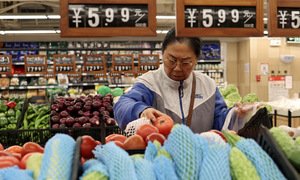 China's economic activity slows