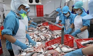 Vietnam urges US to reconsider seafood trade policies