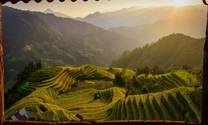 Golden rice terraces of Hoang Su Phi