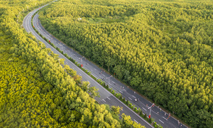 3,000 runners to participate in the fourth HDBank Green Marathon