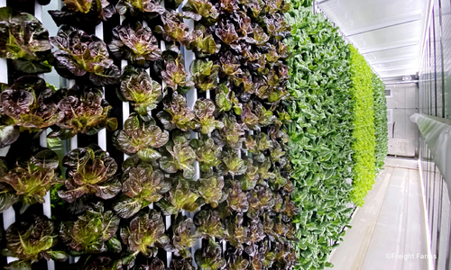 Container farms: a new model for urban farming
