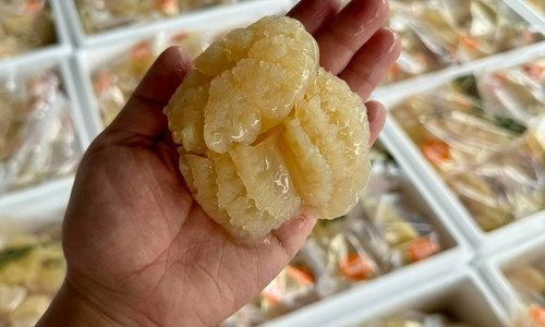 Thai cannonball jellyfish fetches nearly 1 million VND per kg
