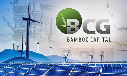 Bamboo Capital receives warning for late financial reporting