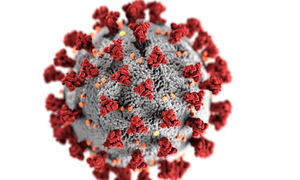 Man infected with Covid-19 for over 750 days