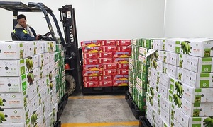 Vietnam's first integrated cold chain logistics hub