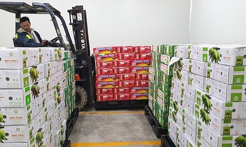 Vietnam's first integrated cold chain logistics hub