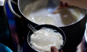 Beloved Hanoi tofu pudding shop sells over 100 kg daily