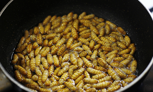Young woman experiences anaphylactic shock after eating wasp larvae