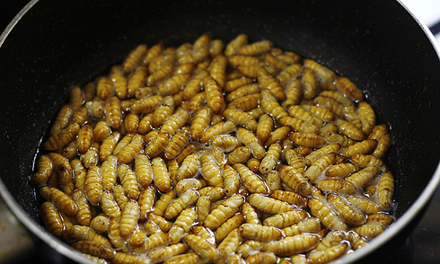 Young woman experiences anaphylactic shock after eating wasp larvae