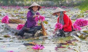 Tantalizing delicacies of the Mekong Delta's flood season