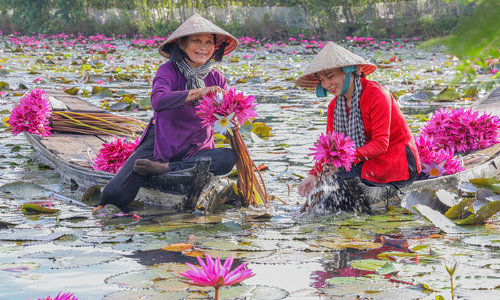 Tantalizing delicacies of the Mekong Delta's flood season