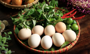 Is it safe to eat eggs every day?