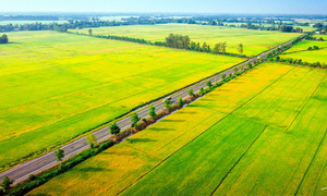 Nearly 14,000 billion VND invested in Mekong Delta transport links