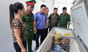 Woman prosecuted for selling african swine fever-infected pork
