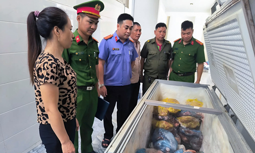 Woman prosecuted for selling african swine fever-infected pork
