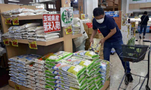 Three Vietnamese nationals arrested in Japan for alleged rice theft