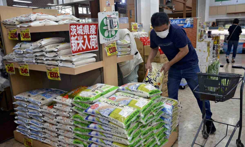 Three Vietnamese nationals arrested in Japan for alleged rice theft