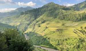 48 hours of relaxation amidst Mu Cang Chai's golden season