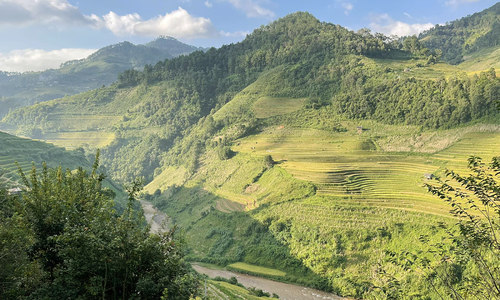 48 hours of relaxation amidst Mu Cang Chai's golden season