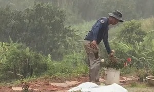 1,000 roses planted along the road where a Vietnamese man's wife died