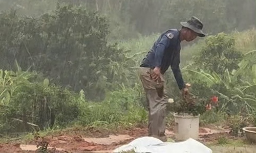 1,000 roses planted along the road where a Vietnamese man's wife died