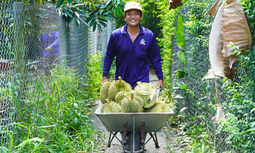 Vietnam's fruit and vegetable exports hit $1.3 billion in September