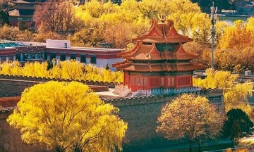 China's autumn allure draws Vietnamese tourists