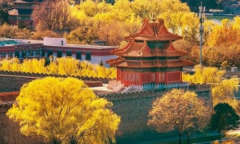 China's autumn allure draws Vietnamese tourists