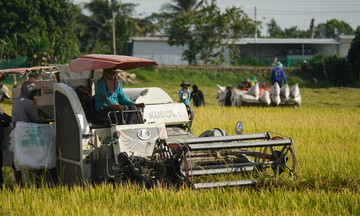 Why young people are turning their backs on agriculture